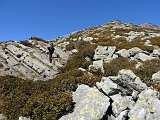 Siamo nella "giavina verde".......
